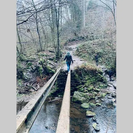 20 Min Du Circuit Spa-francorchamps, Appartamento Verviers